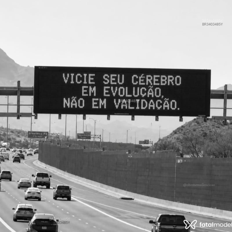 Acompanhante Camargo - Feed