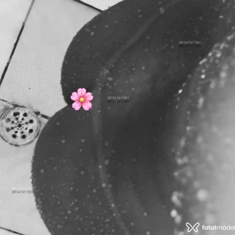 Acompanhante Paulinhamineira - Feed