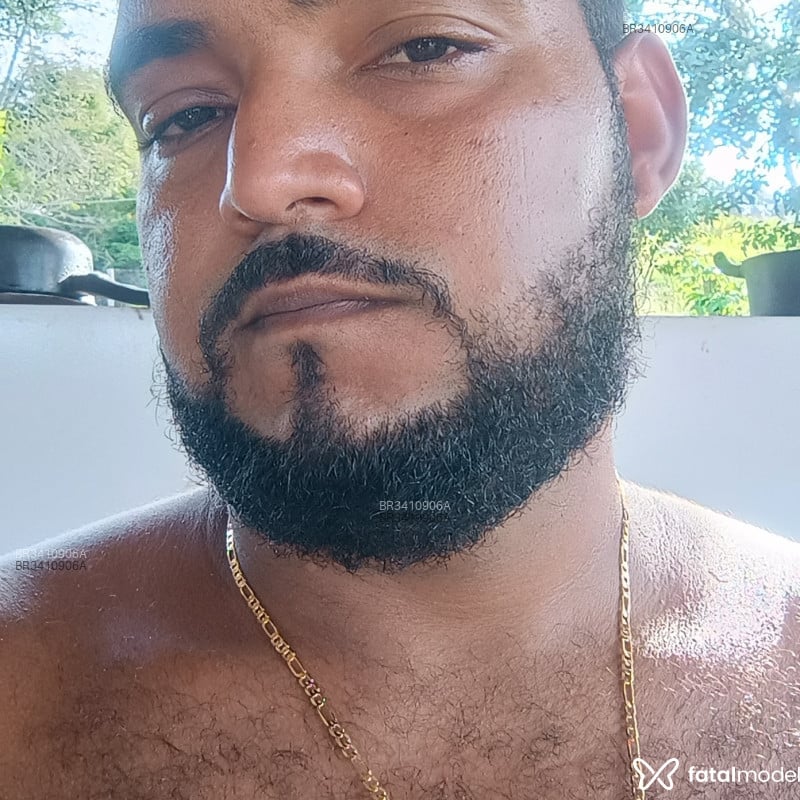 Acompanhante Cachorro - Feed