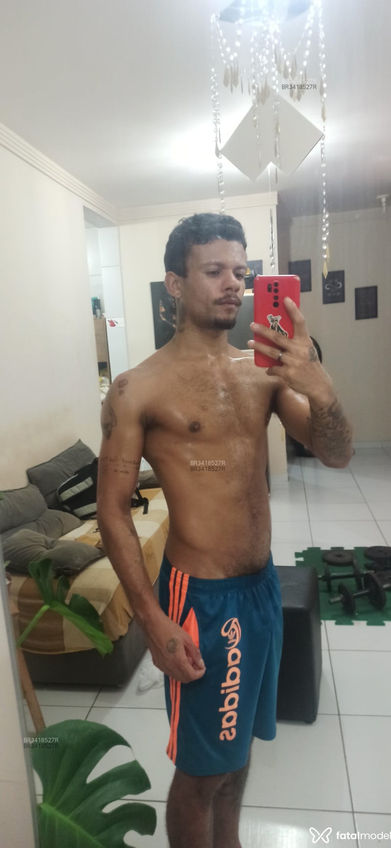 Acompanhante Doismachoativo - Feed