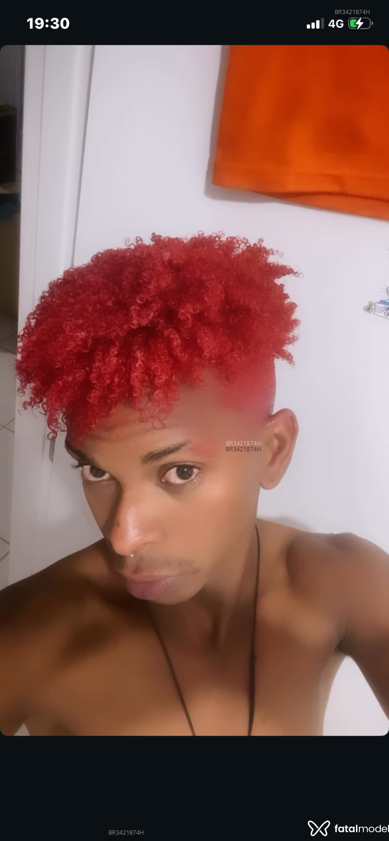 Acompanhante Estevão - Feed
