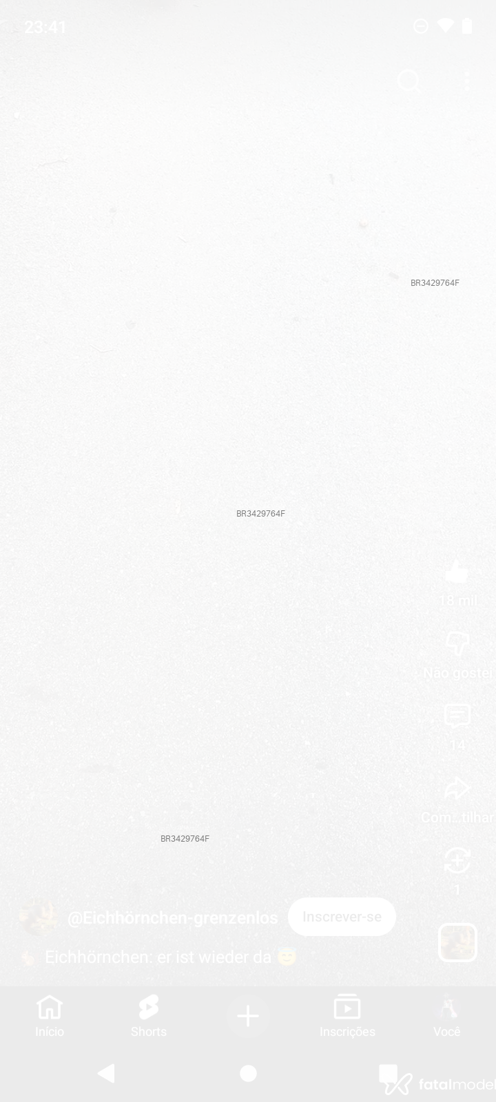 Acompanhante Everton - Feed