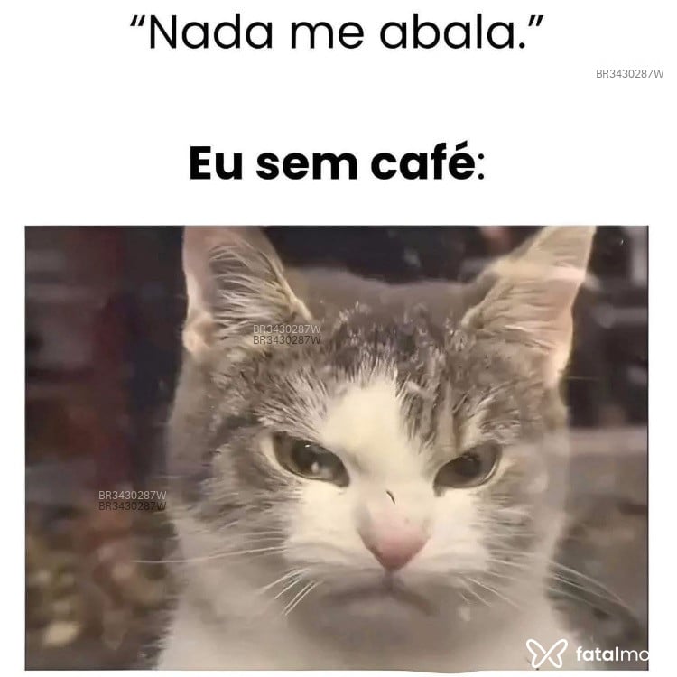 Acompanhante Lucas Brandao - Feed