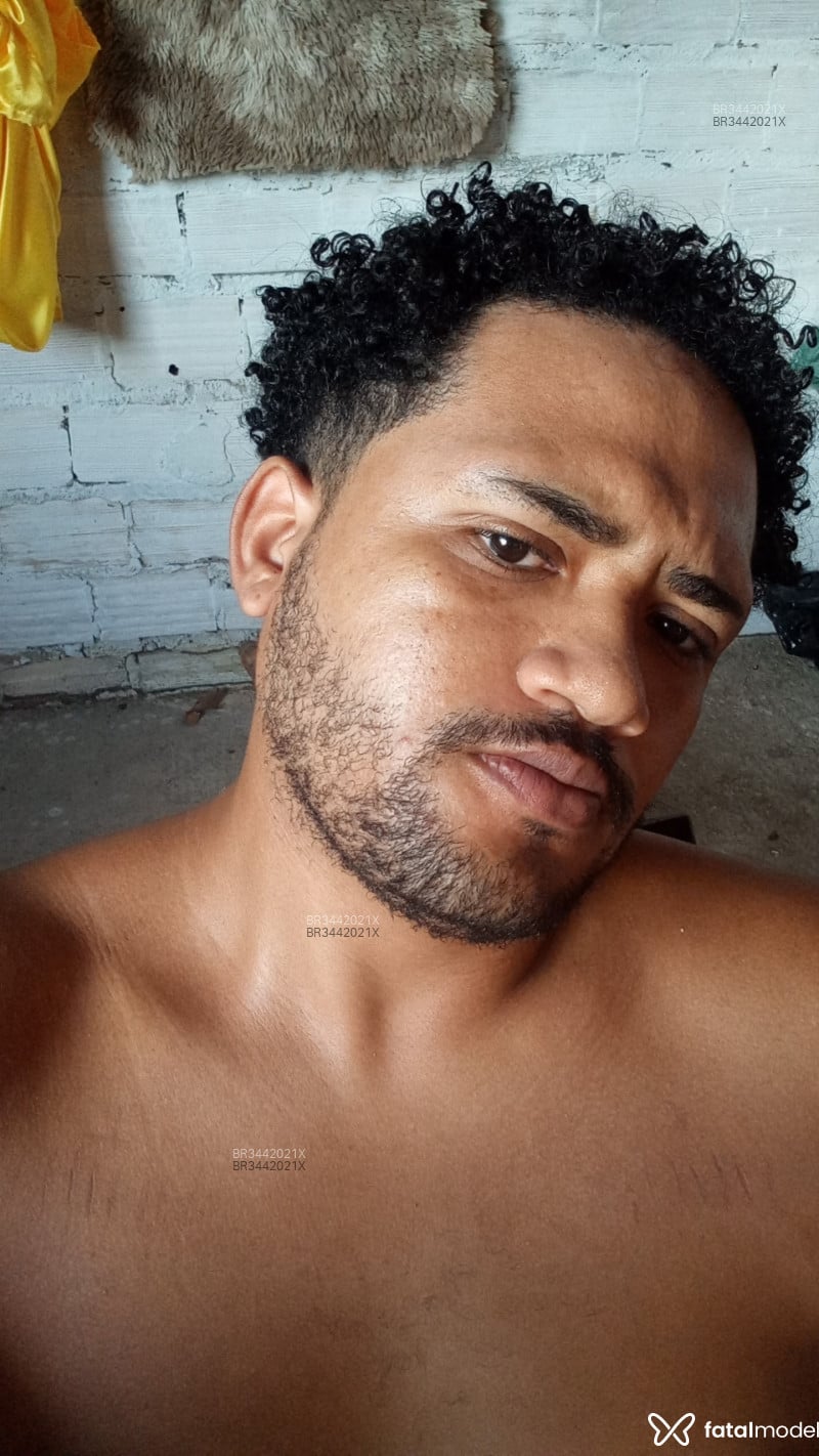 Acompanhante Carvalho - Feed