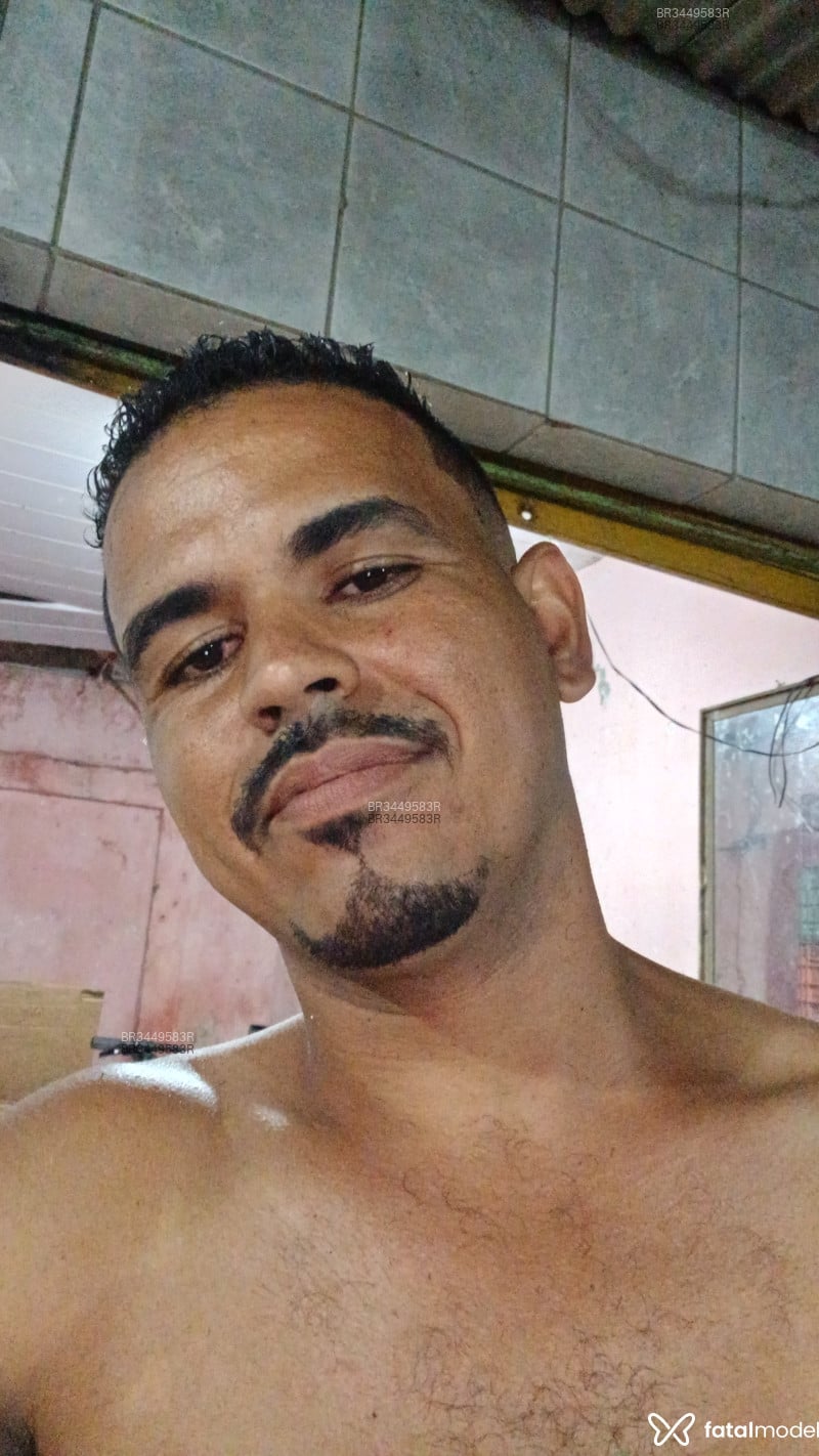 Acompanhante Gatus - Feed
