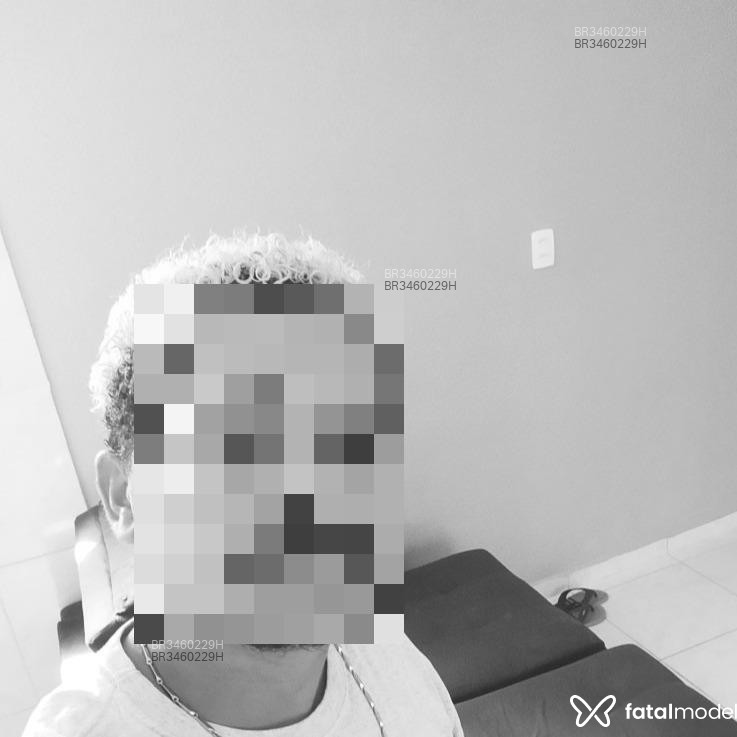 Acompanhante Zemilcasal - Feed