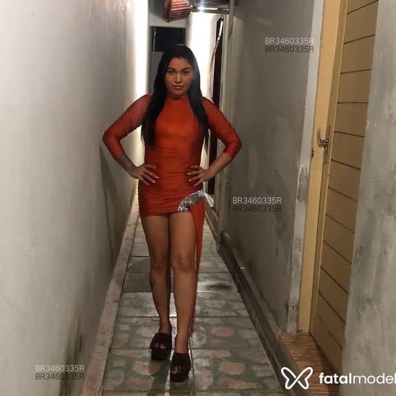 Acompanhante Tarcinha - Feed
