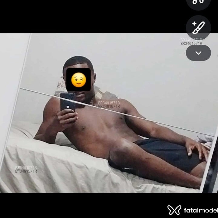 Acompanhante Cachorro - Feed