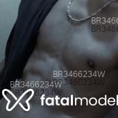 Acompanhante Stelf - Feed