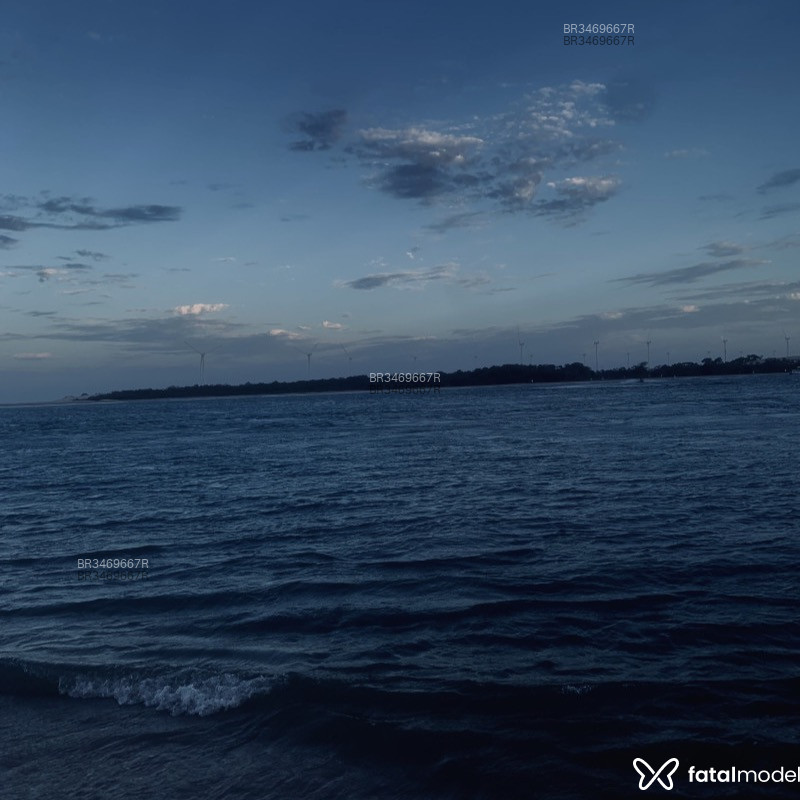 Acompanhante Brunei - Feed