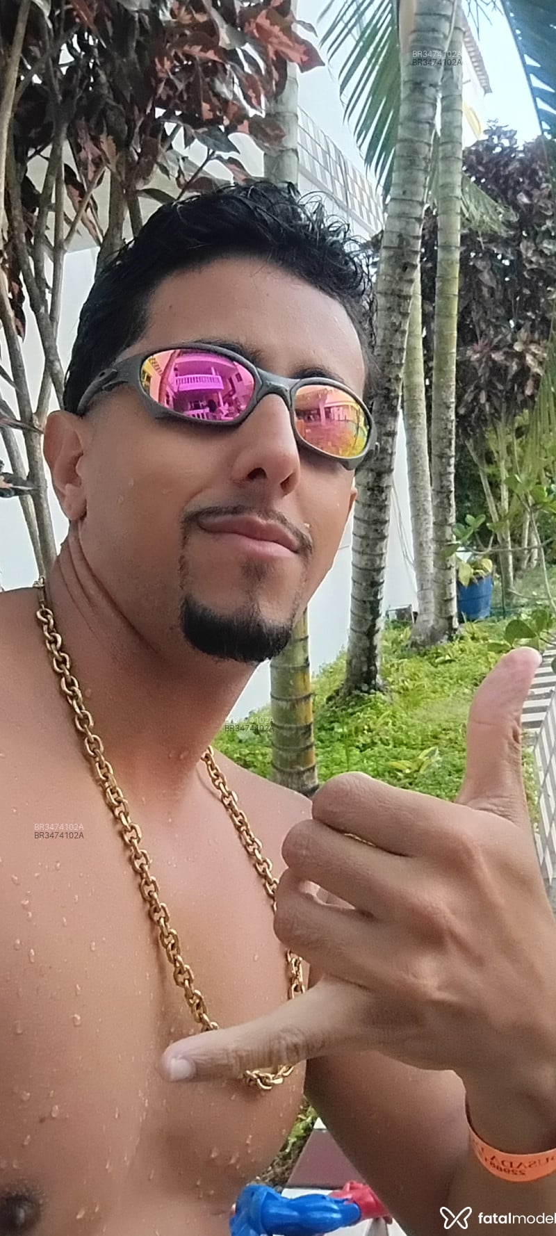 Acompanhante Rodrigues Chagas - Feed