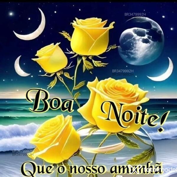 Acompanhante Alemão - Feed