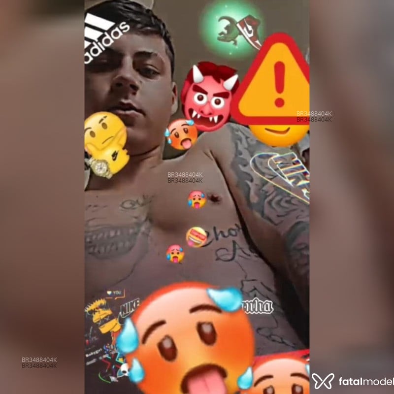 Acompanhante Pereira - Feed