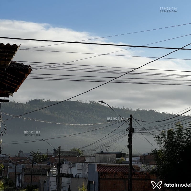 Acompanhante Ssigiloigilo - Feed