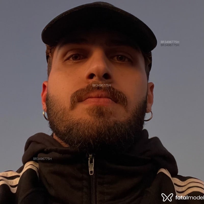 Acompanhante Stark - Feed