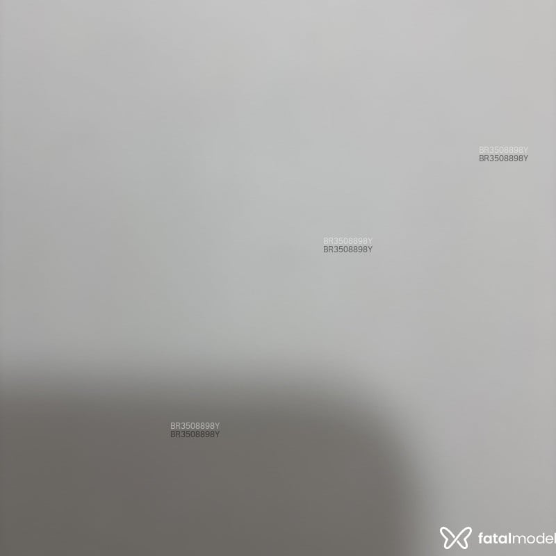 Acompanhante Mineirodotado - Feed
