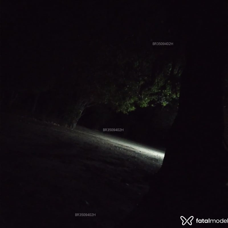 Acompanhante Bruno - Feed