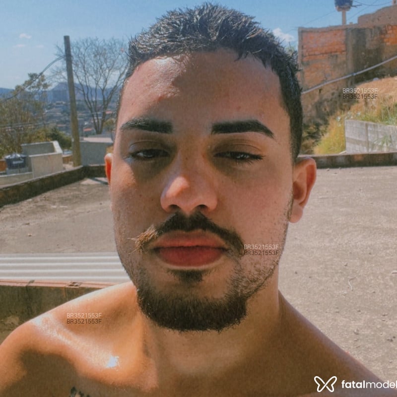 Acompanhante Pardo - Feed