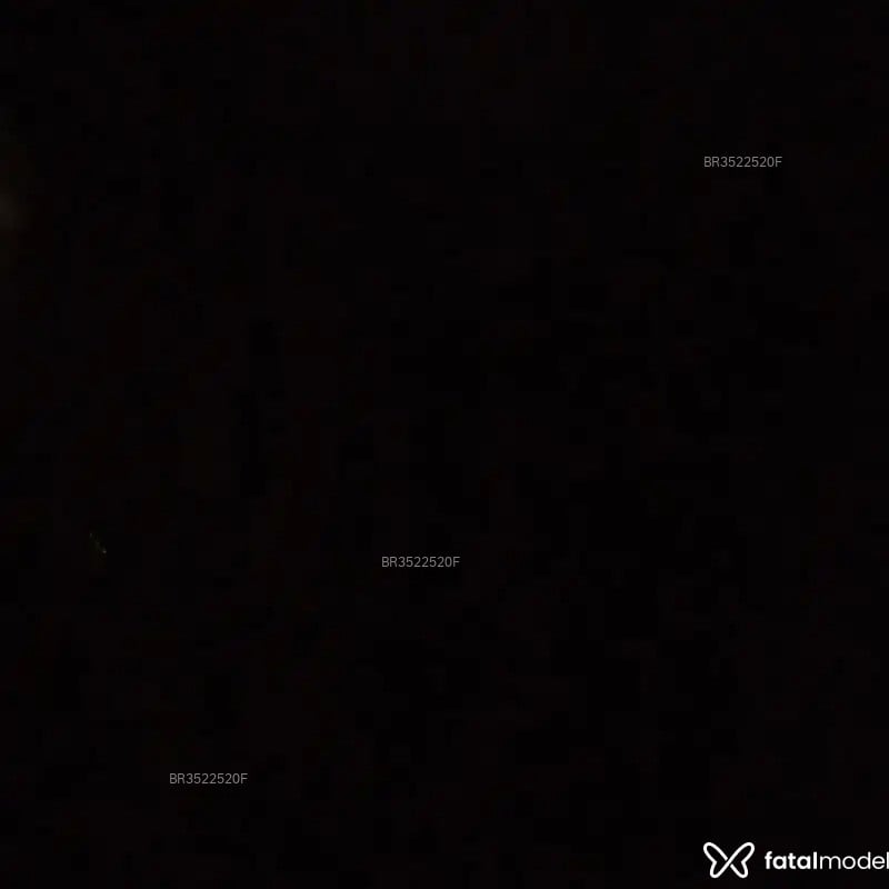 Acompanhante Santosgato - Feed