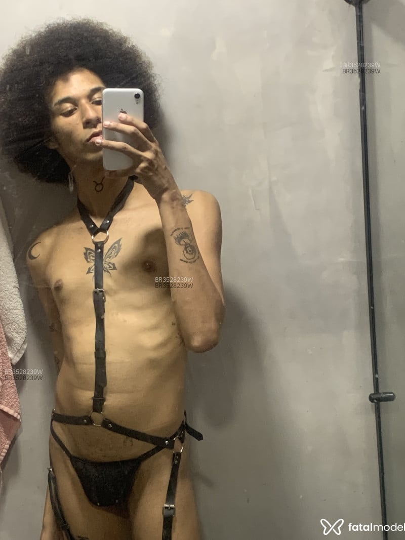 Acompanhante Correia - Feed