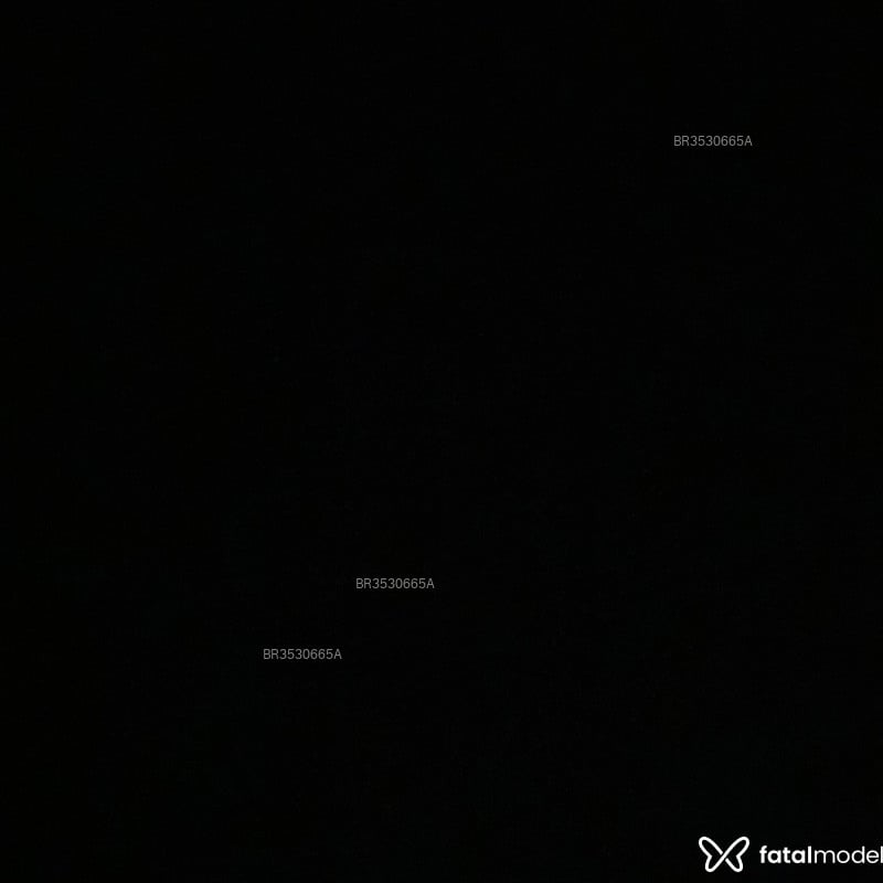 Acompanhante Maximos - Feed