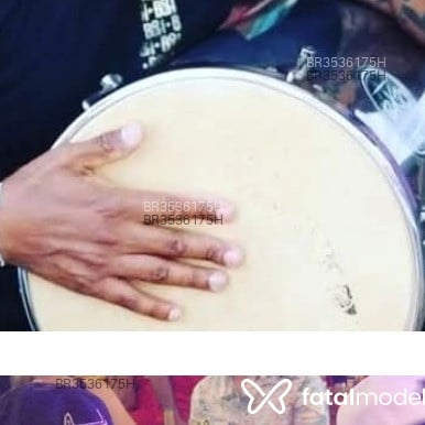 Acompanhante Neguinho - Feed