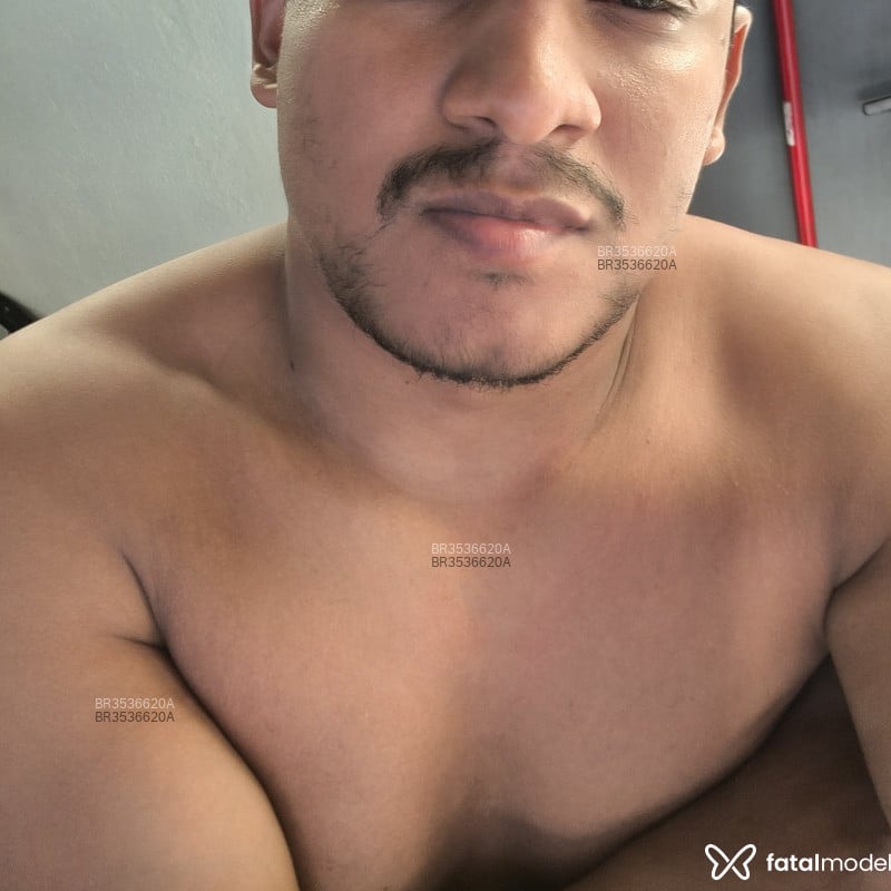 Acompanhante Pernambucano - Feed