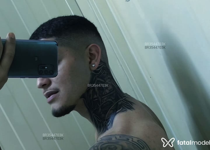 Acompanhante Máximo - Feed