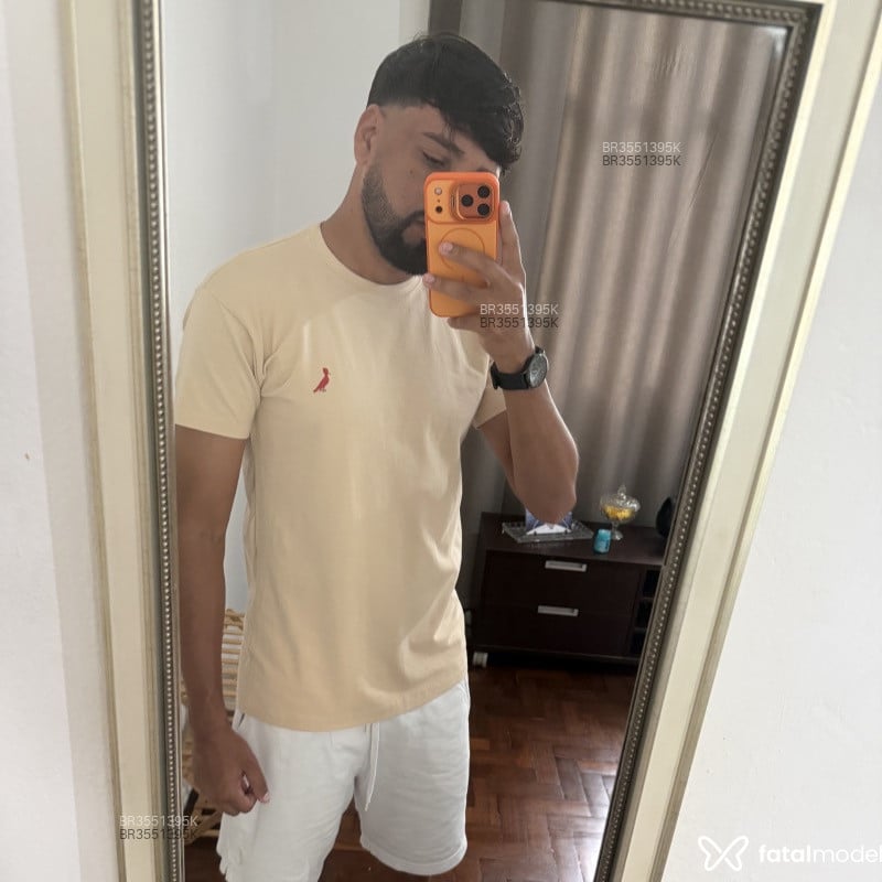 Acompanhante Paqueta - Feed