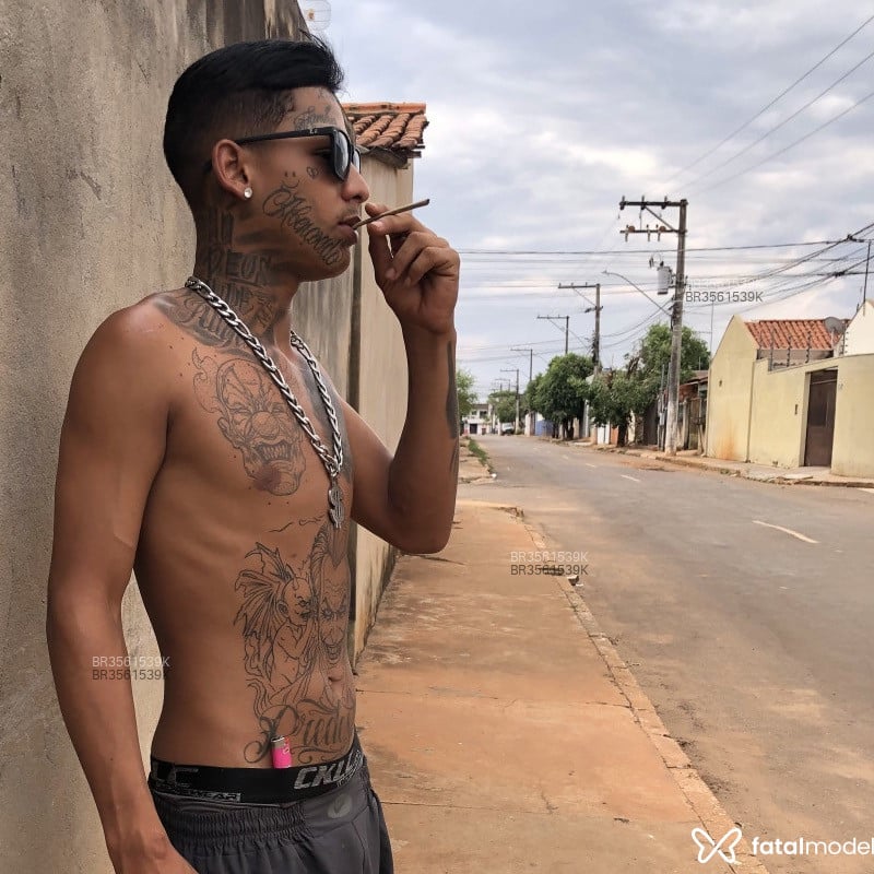 Acompanhante Zika - Feed