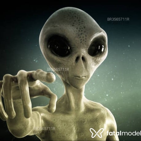 Acompanhante Alienn - Feed