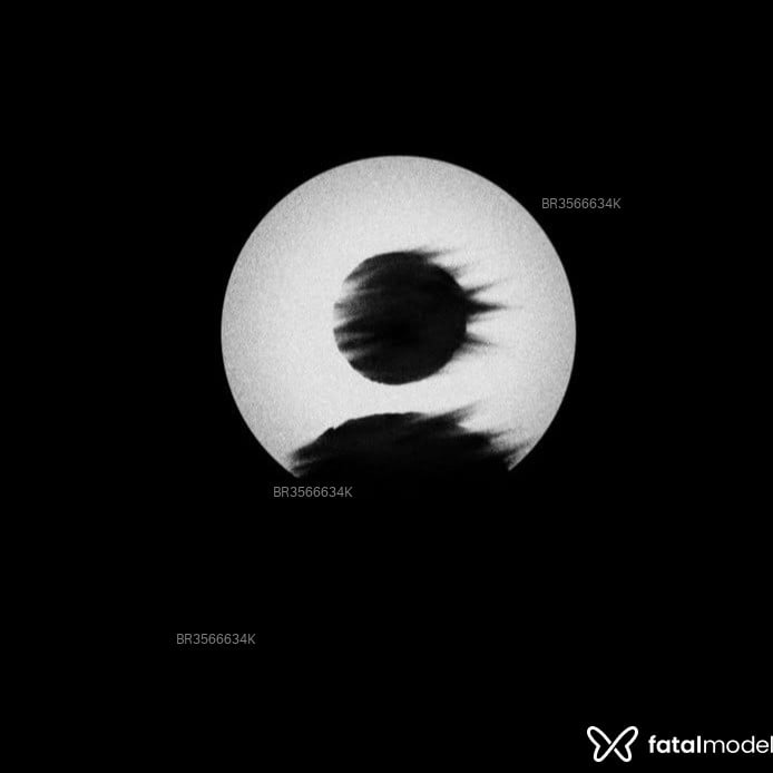 Acompanhante Kennedy - Feed