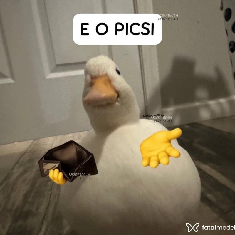 Acompanhante Fppirocudo - Feed