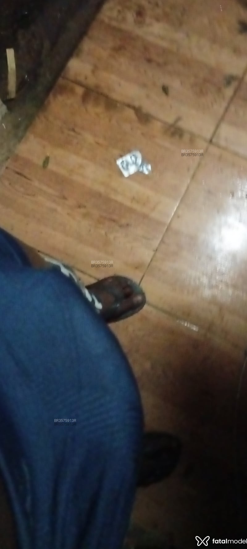Acompanhante Pequenohomem - Feed