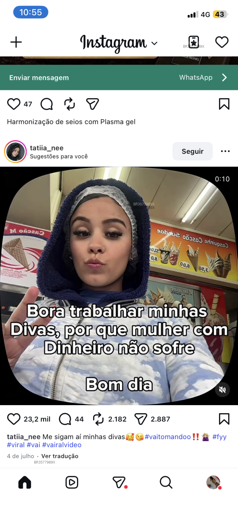 Acompanhante Biasilva - Feed