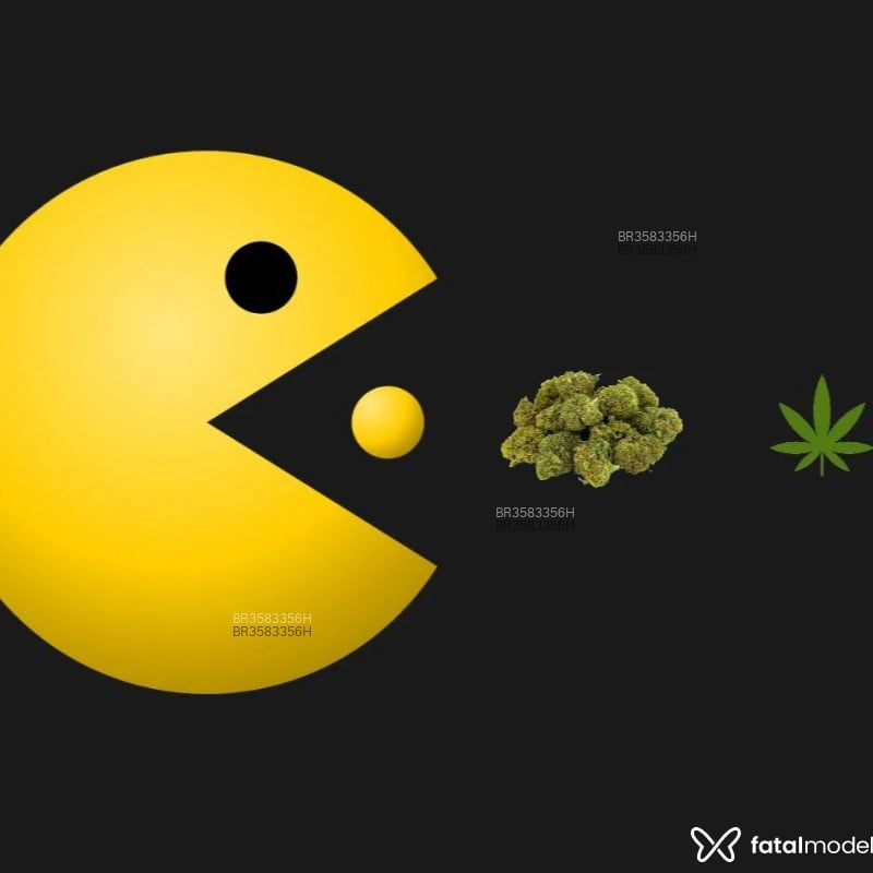 Acompanhante Pacman - Feed