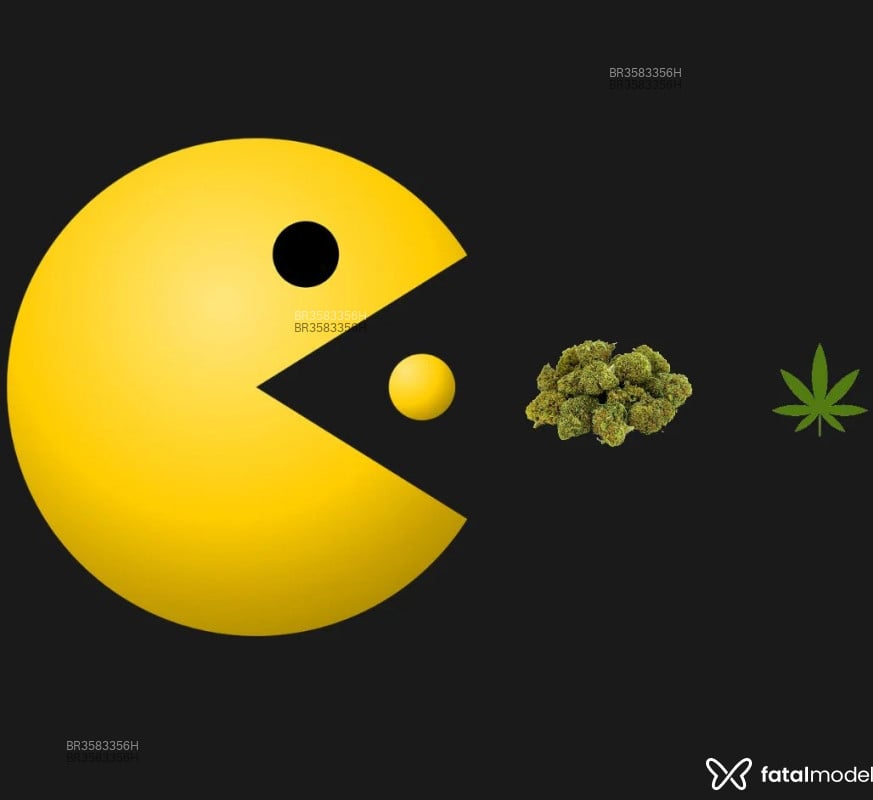 Acompanhante Pacman - Feed