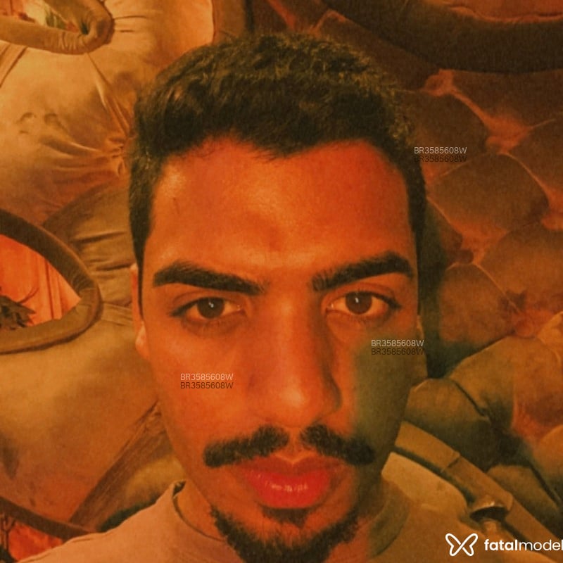 Acompanhante Theus - Feed