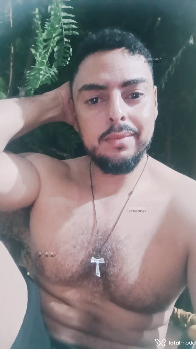 Acompanhante Lipizinho Cachorro - Feed
