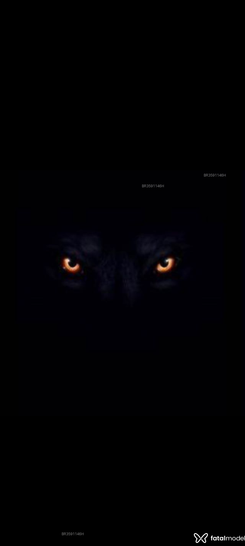 Acompanhante Caçador - Feed