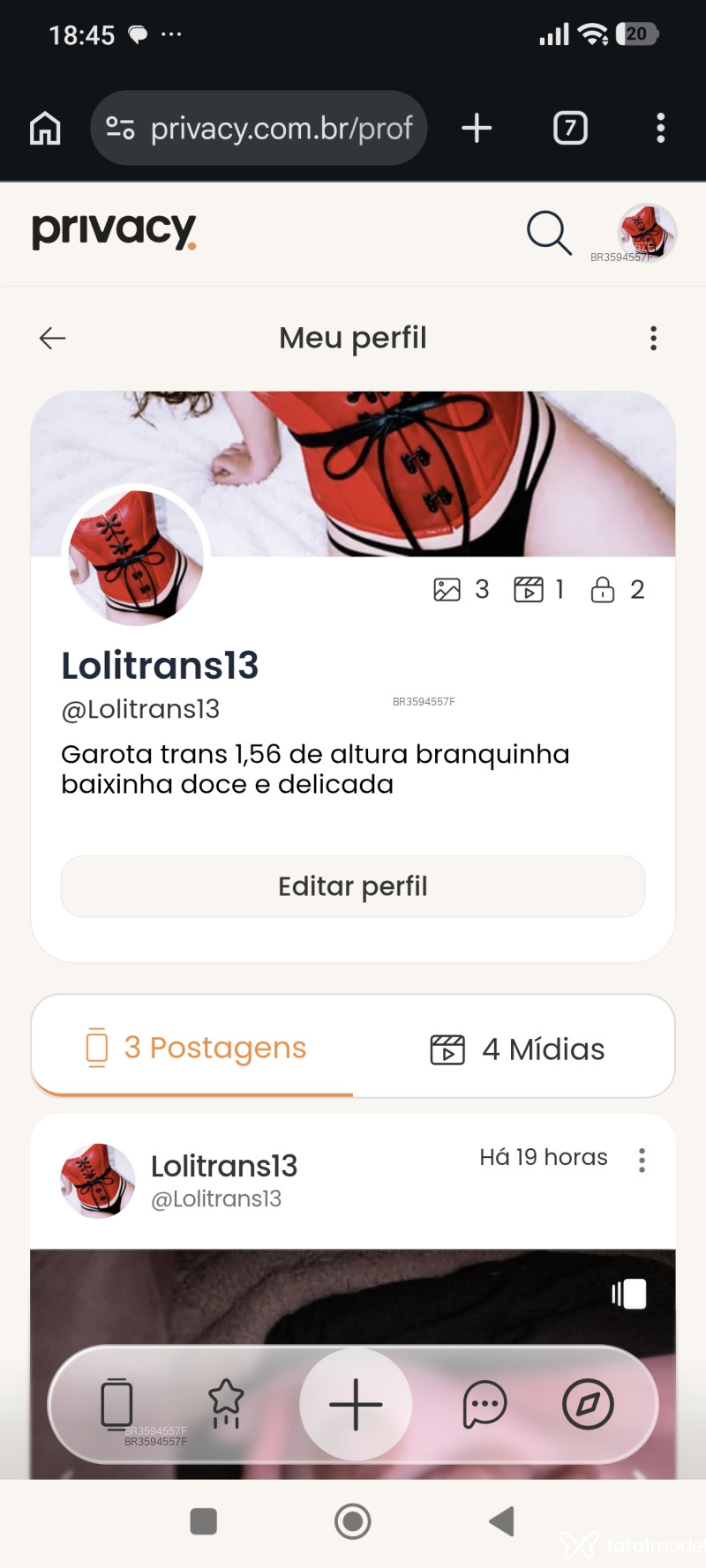 Acompanhante Transbaixinha - Feed