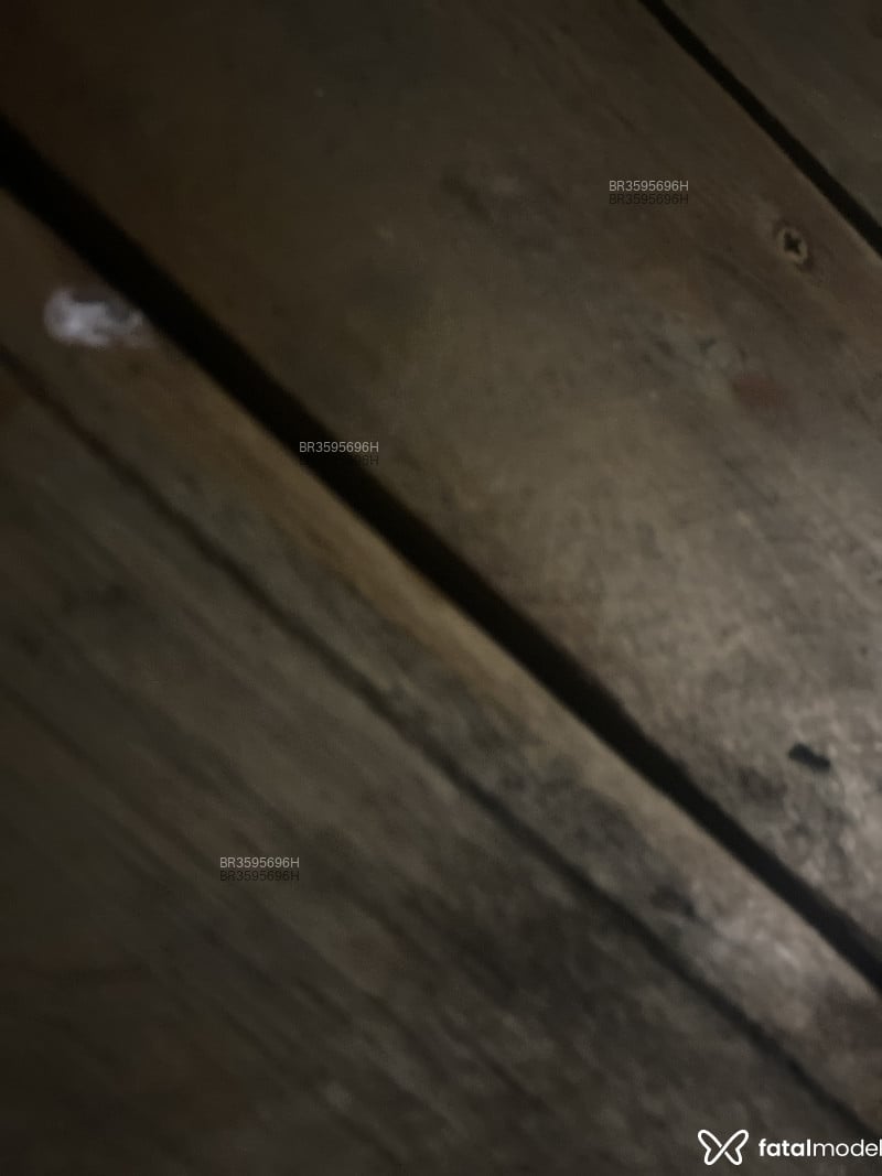 Acompanhante Cecilia - Feed