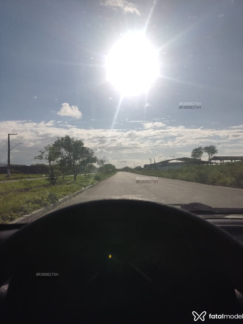 Acompanhante Henrique - Feed