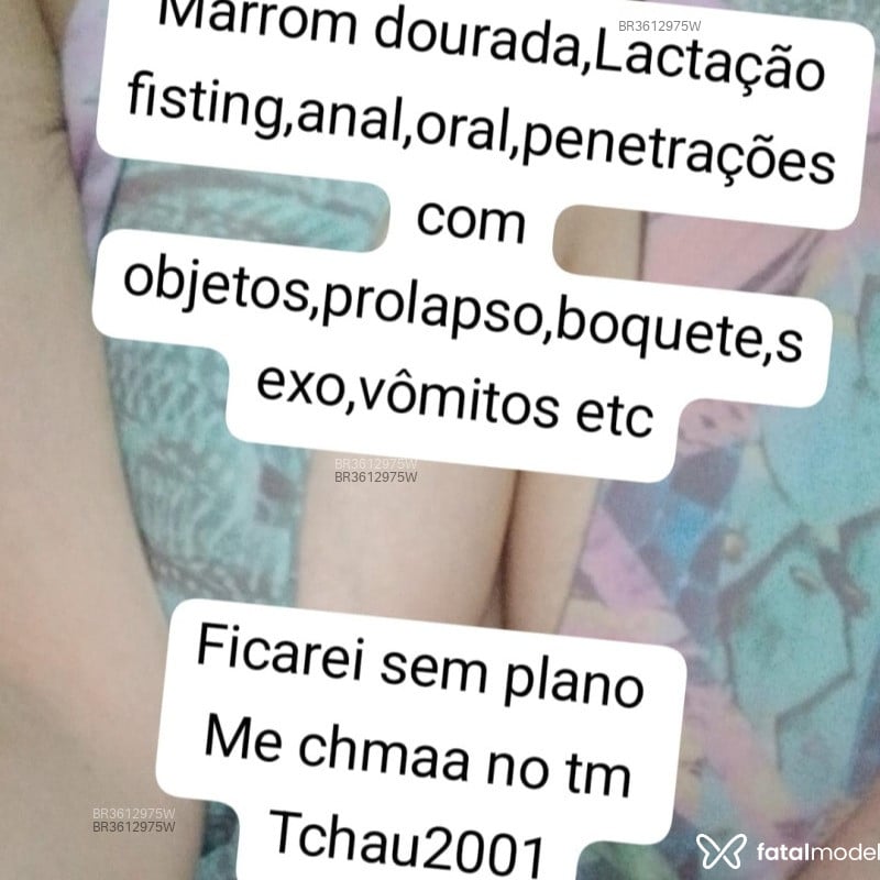 Acompanhante Deu Certo Voltar - Feed