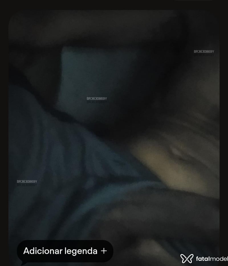 Acompanhante Gussflyng - Feed
