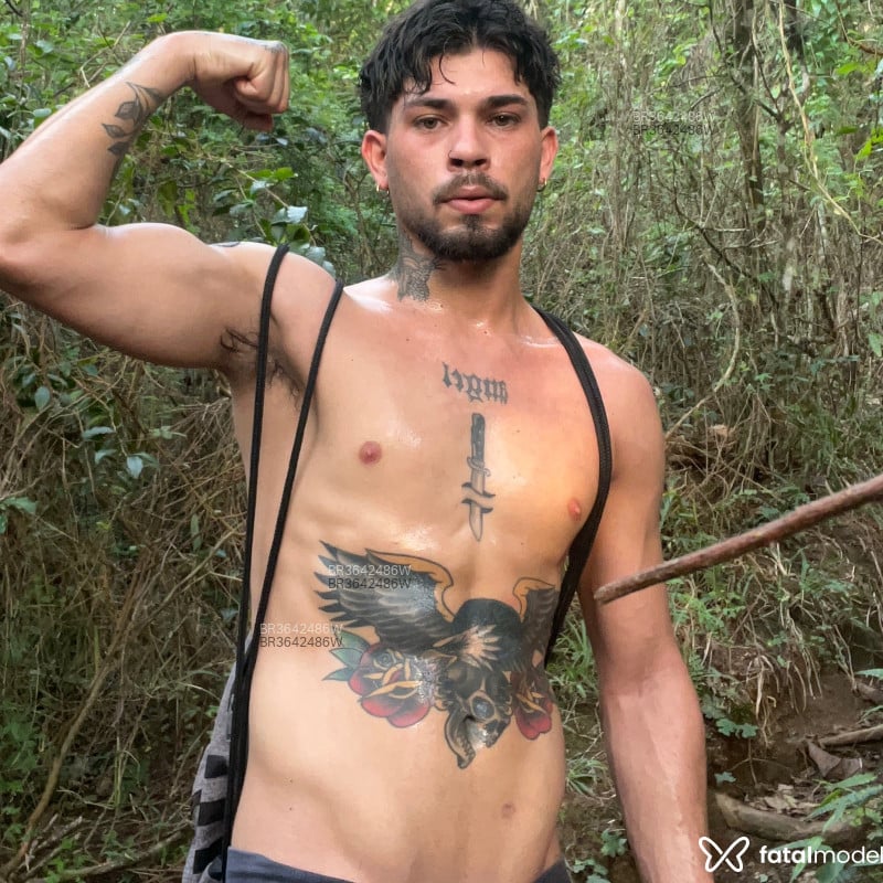 Acompanhante Pitter - Feed