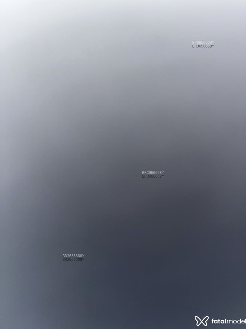 Acompanhante Fernando - Feed
