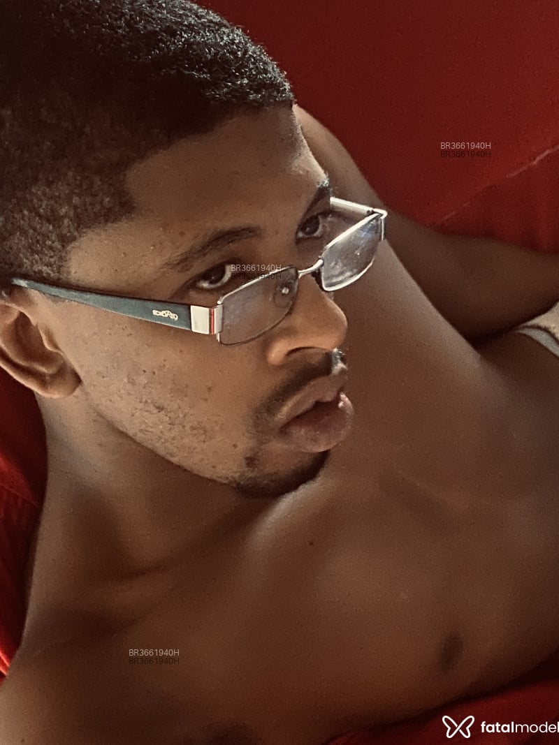 Acompanhante Bernardin - Feed