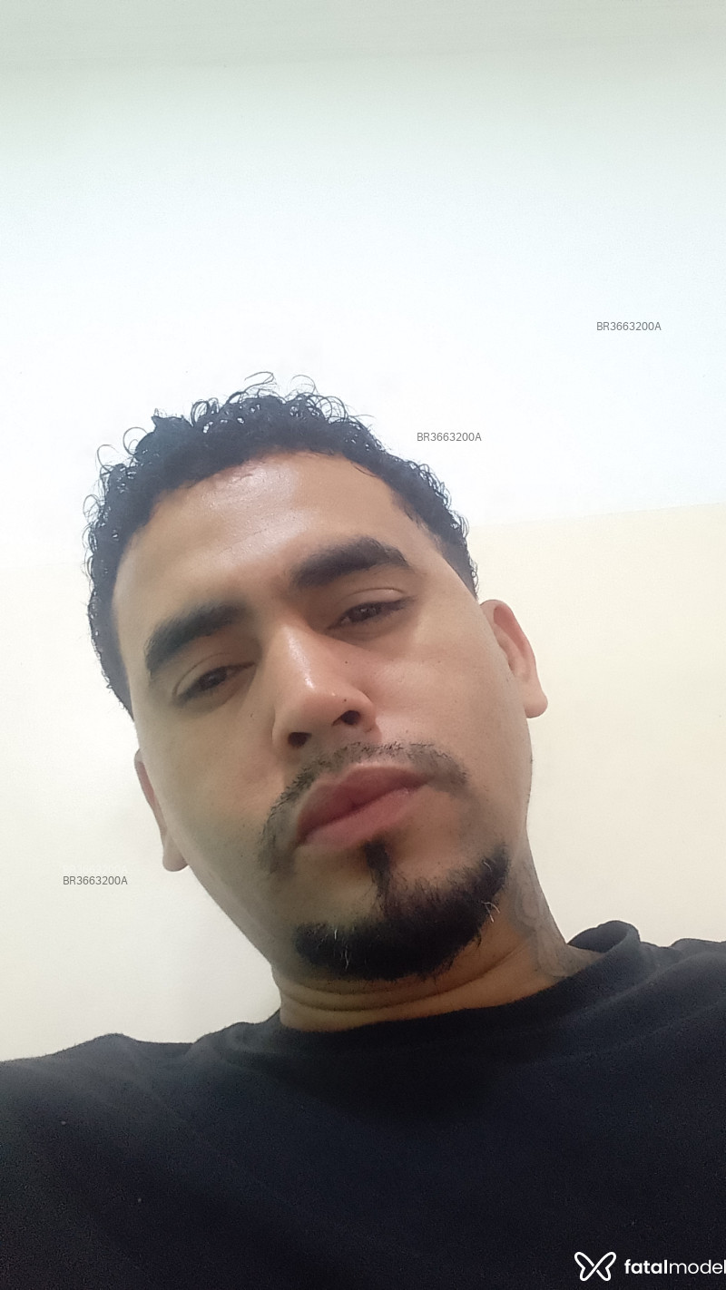 Acompanhante Halybrayn - Feed