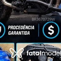 Acompanhante Henrique - Feed